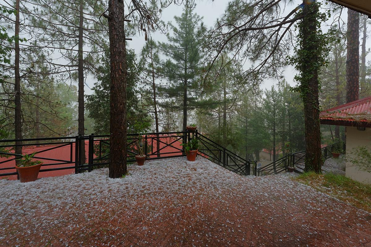 Arcadian Blue Pines Murree Exterior foto